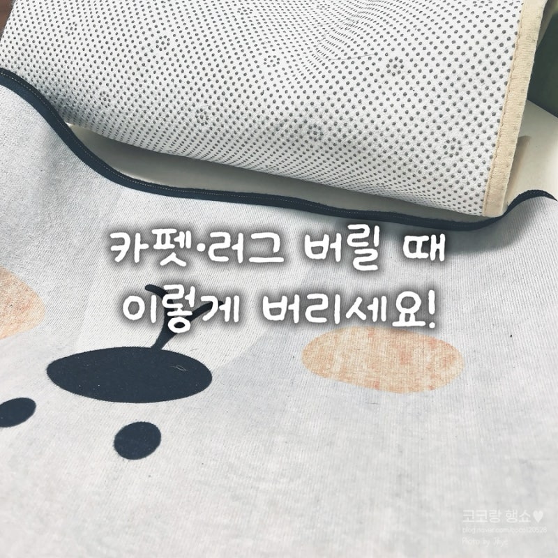 카펫·러그 버리는 방법, 일반쓰레기 대형폐기물 배출 전 확인 사이트