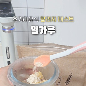 6개월 7개월 초기이유식 밀가루 테스트 죽 이유식 방법 시기