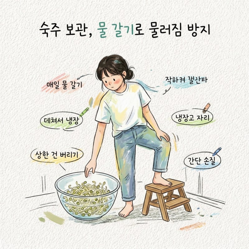 하루 이틀이면 물러짐 숙주 보관법 물 갈기 데치기 냉장 자리 상한거 구별 손질