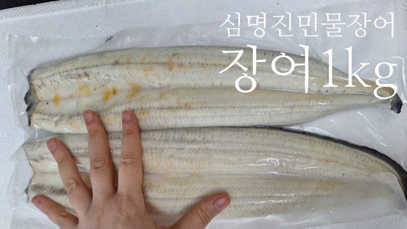 초벌장어 택배 심명진 민물장어 1kg 가격