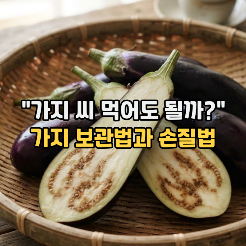 가지 보관법과 손질법 "가지 씨 먹어도 될까?" (냉장, 냉동, 말리는 방법)