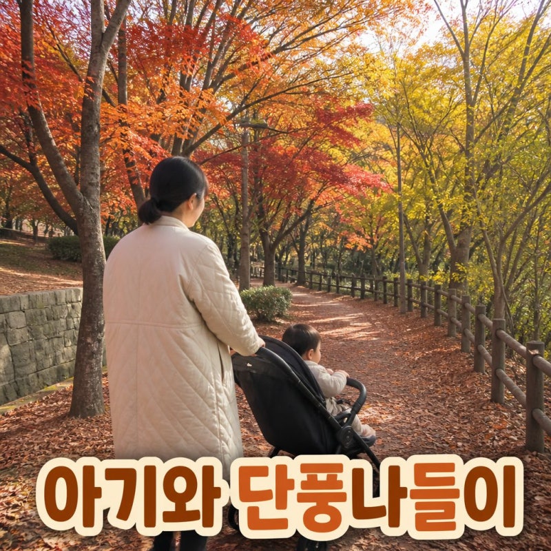 (부산근교) 아기와 같이가기 좋은 단풍명소 추천