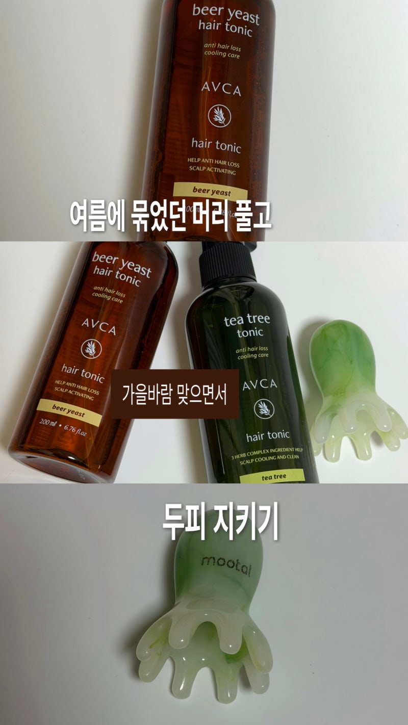 두피, 탈모 케어| 아브카 티트리 맥주효모 헤어토닉 내돈내산 사용후기