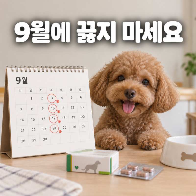 강아지 심장사상충 예방약 가을에도 필요할까, 모기 시기와 구충제 투약 주기 기준