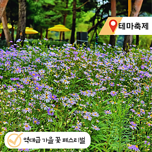 "4계절 축제의 섬 가평" 자라섬 꽃 축제 2026 기간 입장료 일정 주차 총정리