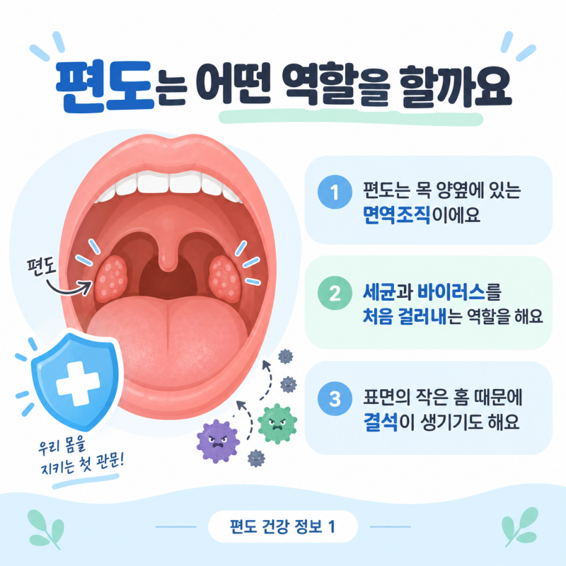 편도염과 편도결석, 편도에 생기는 문제와 치료방법