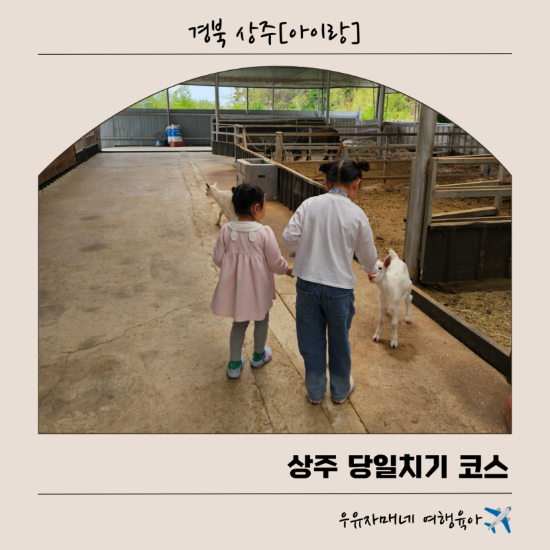 상주 아이와 가볼만한 곳: 아이들과 직접 다녀온 여행코스