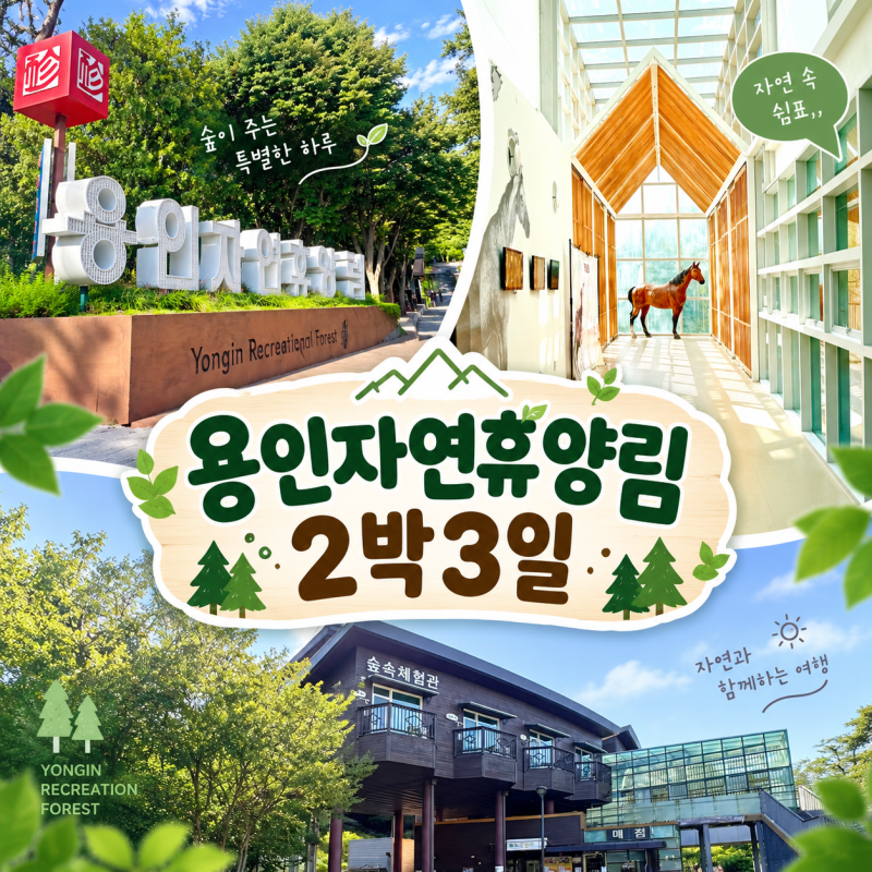 용인자연휴양림 체험골 8번방 2박 3일 숙박 후기 평일에 다녀왔어요!