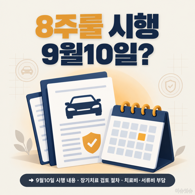 자동차보험 8주룰 시행 대상과 자격조건, 9월10일부터 확인