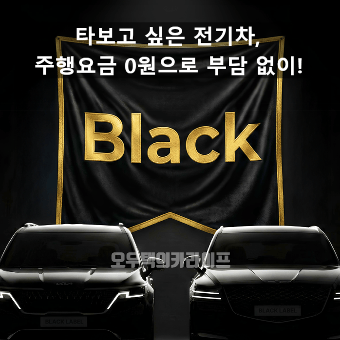 테슬라 시승, 주행요금 0원으로 쏘카 블랙라벨 완벽하게 즐기는 법