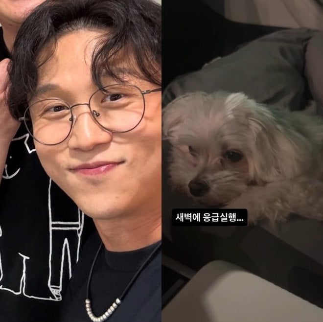 박성광 부부의 새벽 응급실行, 반려견 간병이 남긴 두 가지 숙제