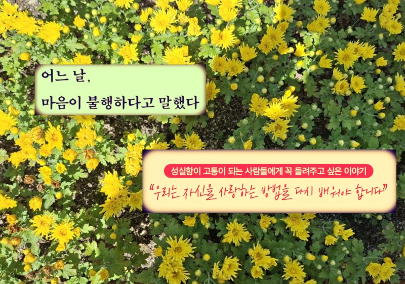 “나를 제대로 모르고 있었다”, 열정의 상징 손미나의 고백! (ft. 악뮤 “소문의 낙원”)