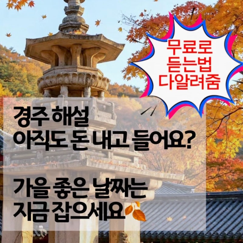 경주 가을여행 무료 해설 + 하루 코스 총정리
