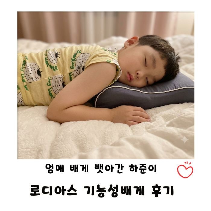 목과 어깨가 편안한 잠자리, 로디아스 라텍스 베개 & 순면 베개커버 후기