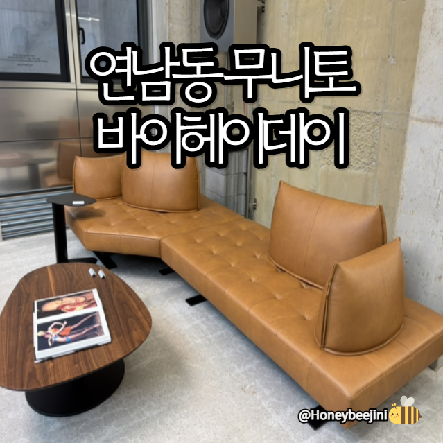 연남동 가구쇼룸) 무니토 쇼룸 & 바이헤이데이 연남쇼룸 솔직후기 - 소파 비교 가격까지 솔직....