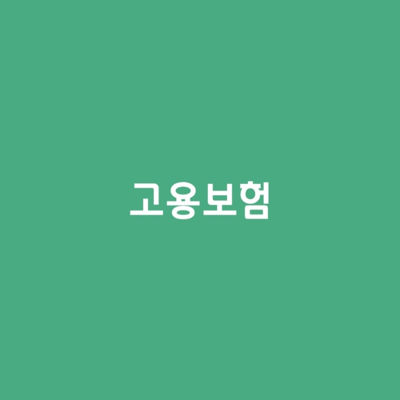 고용보험료가 월급에서 왜 빠질까? 2026년 요율과 비과세 항목 체크