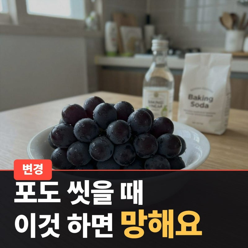 포도 씻는법 식초 베이킹소다 같이 사용법