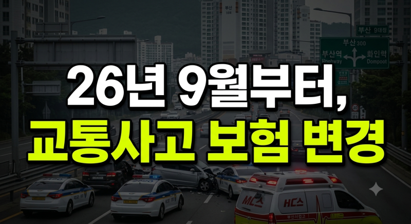 교통사고 보험 합의금, 보상처리 변경사항 총정리 (+보험사기,보험접수,보험금청구)