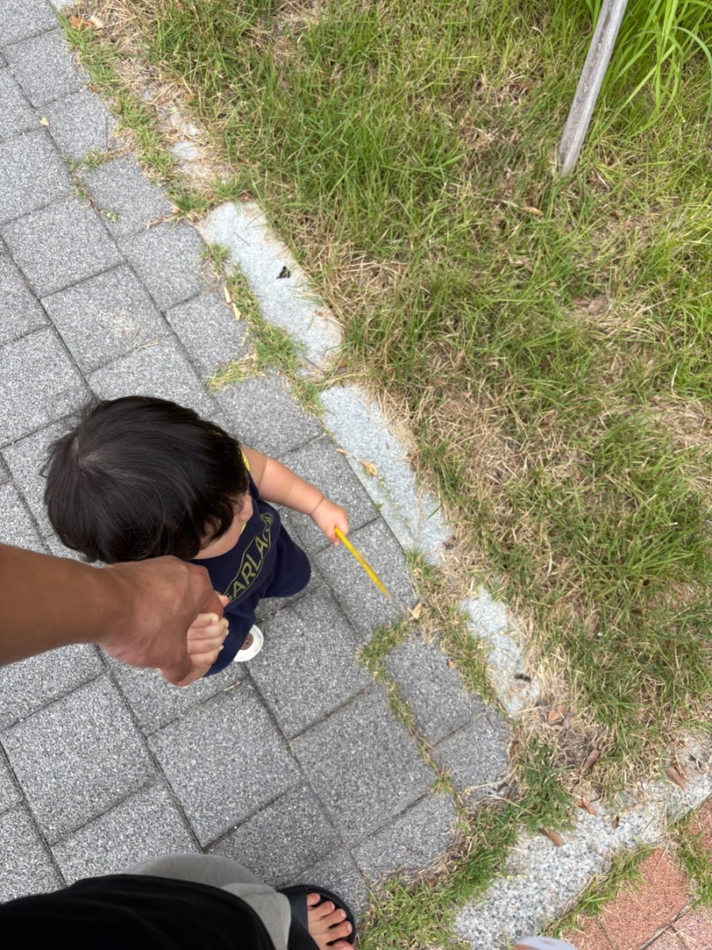 16개월 아기 발달상황 공유 신체,언어,인지,행동,수면,하루스케줄