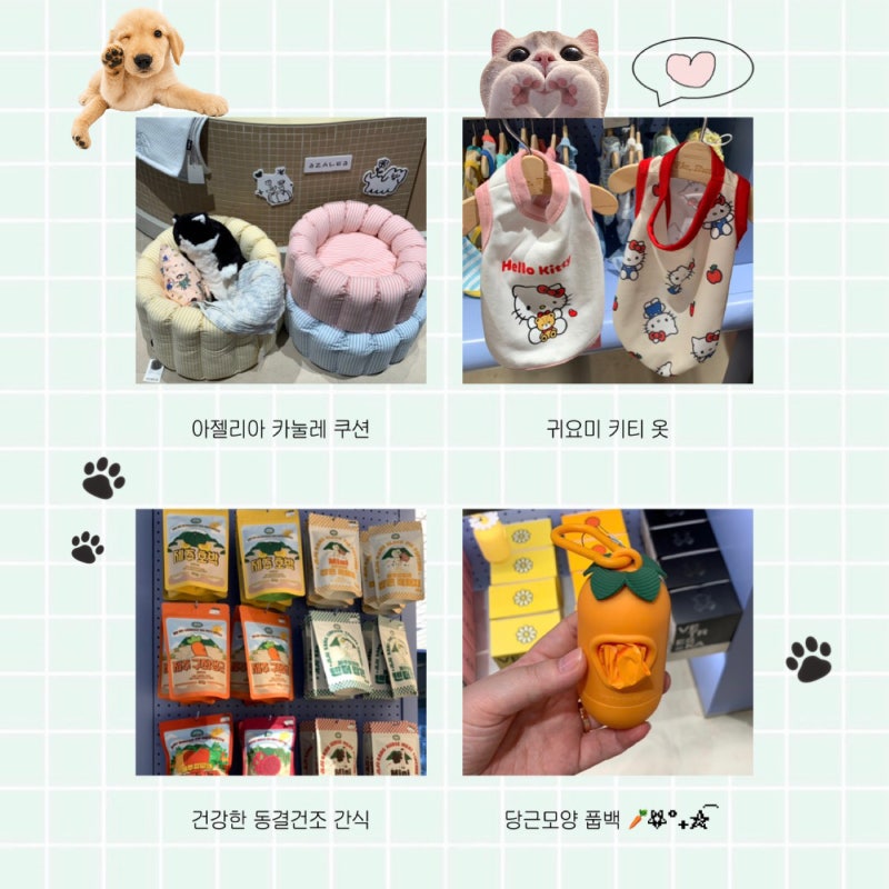 여의도 더현대서울 위펫 강아지동반 애견용품이 가득한 반려동물 편집샵