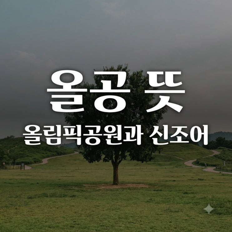 <b>올공 뜻</b>과 올다르크의 의미 정확히 알아보기