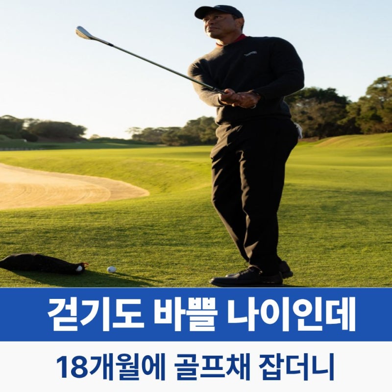 타이거 우즈 골프 얼마나 대단했길래? 18개월에 골프채 잡더니 벌어진 일