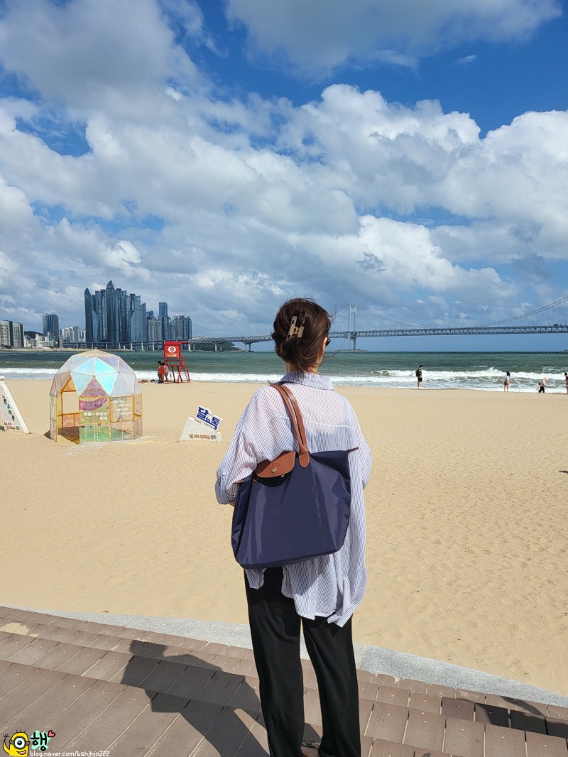 롱샴 르플리아쥬 라지 이너백 OUL