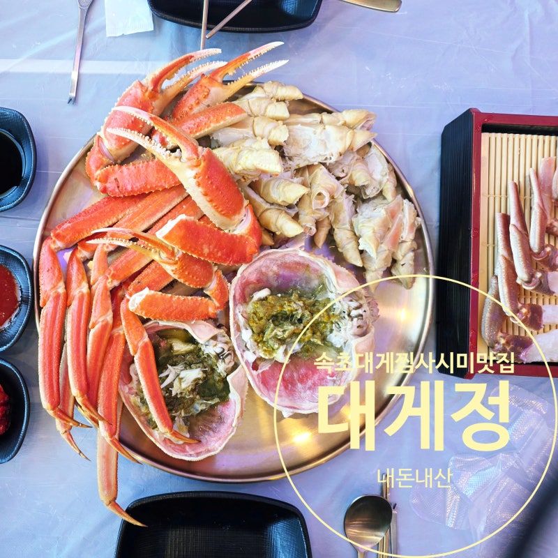 속초 맛집 대게정 대게사시미 대게찜 게딱지볶음밥 후기