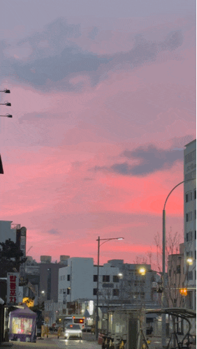 제주도 여행 1일차｜9명이 새벽 배 타고 제주도 가보니, 비행기와 달랐던 점