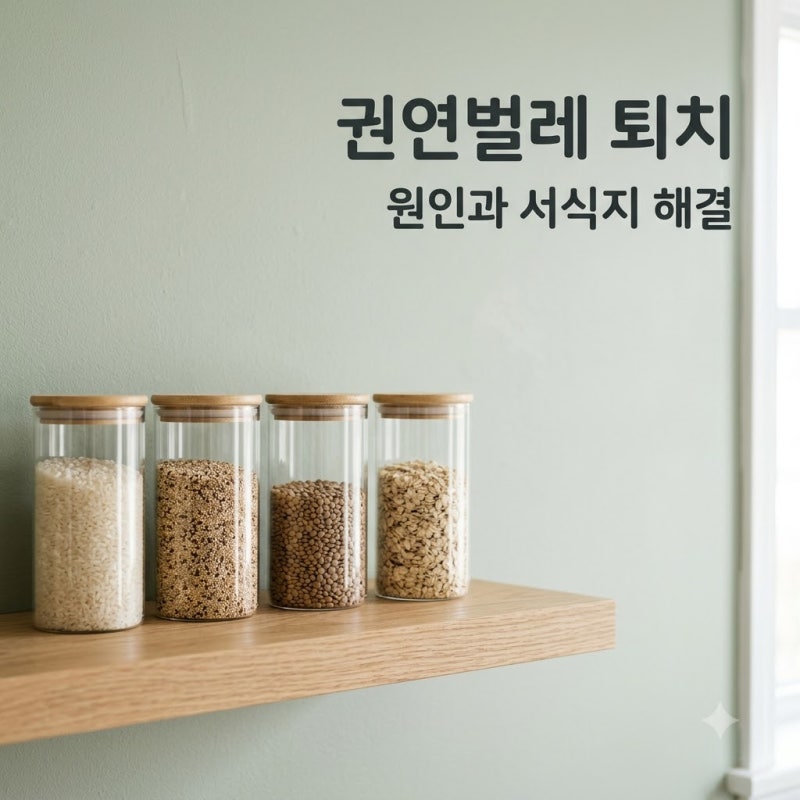 "포장 비닐도 뚫고 들어옵니다" 권연벌레 서식지 찾는 법, 페로몬 트랩 활용 꿀팁
