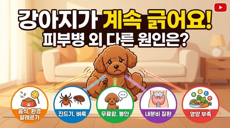강아지가 계속 긁어요, 피부병 외에 확인해야 할 원인은?