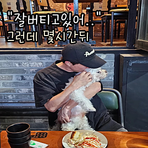 “잘 버티고 있어” 박성광이 전한 광복이 근황…하루도 안 돼 ‘새벽 응급실행’