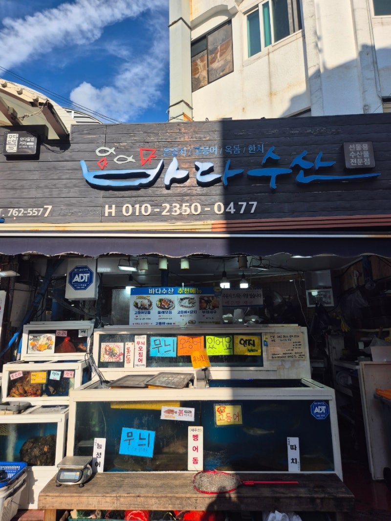 내돈내산) 제주 서귀포 올레시장 횟집 회 맛집 포장 가격 메뉴 올레시장 먹거리 ....
