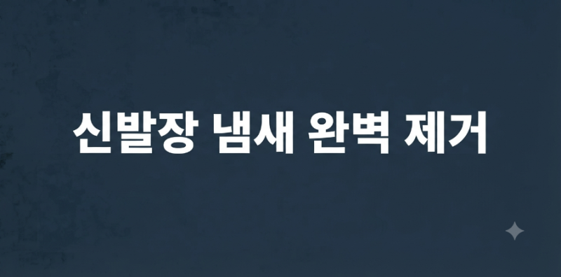 여름철 신발장 퀴퀴한 발냄새·땀내 완벽 제거: 선반 살균 세척부터 곰팡이 차단 장기 관리 5....