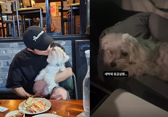 박성광 반려견 광복이 새벽 응급실행…“병원 그만 가자” 애틋한 마음