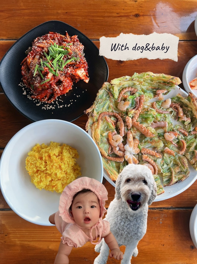 영종도여행 을왕리 맛집 해물칼국수 해상궁 아기,애견동반