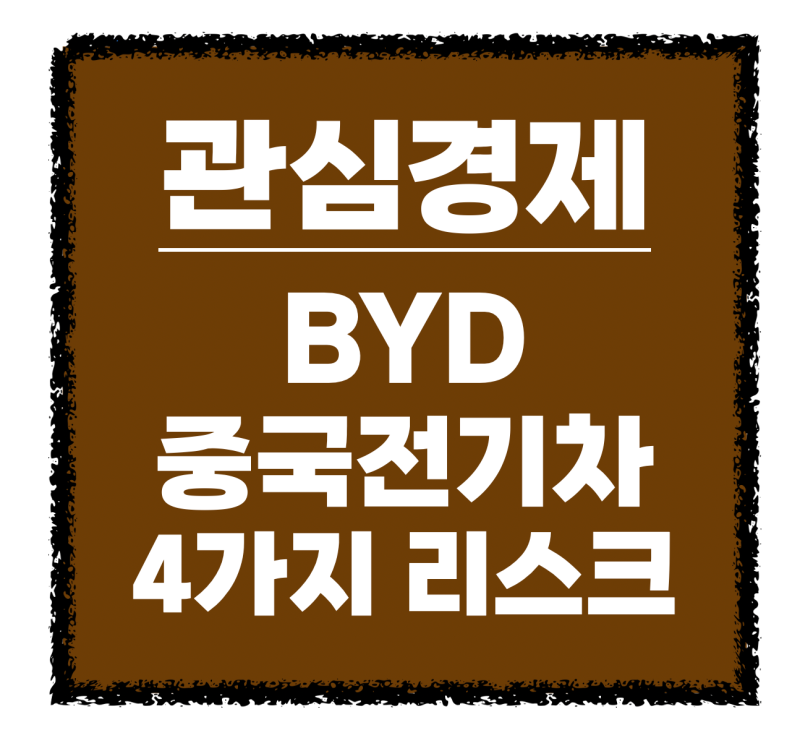 [관심경제] BYD 국내 상륙, 가성비 뒤에 숨겨진 4가지 리스크: 중국 전기차를 냉정하게 봐야 하....