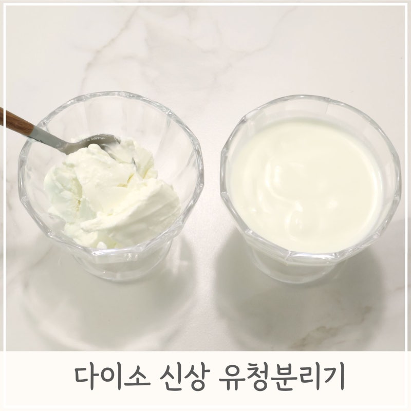 다이소 신상 유청 분리기로 그릭요거트 만들기