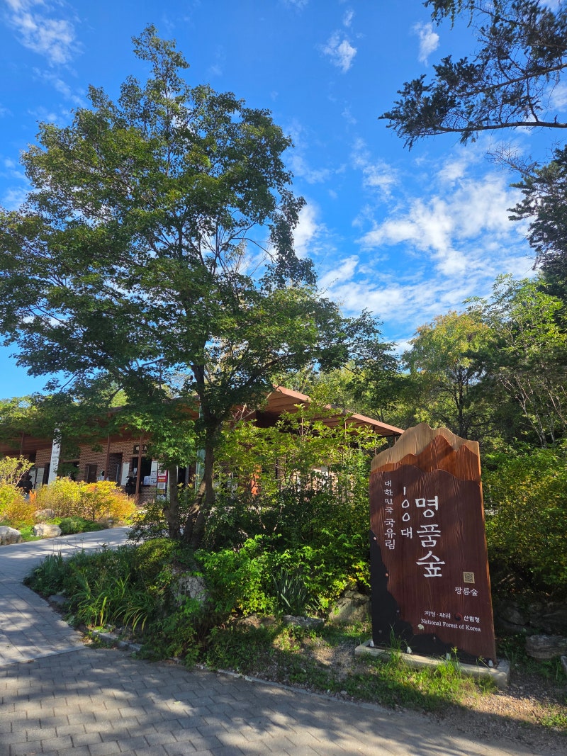 [포천 국립수목원] 주말에 가보니 반했던 곳, 광릉수목원 가족 나들이 추천