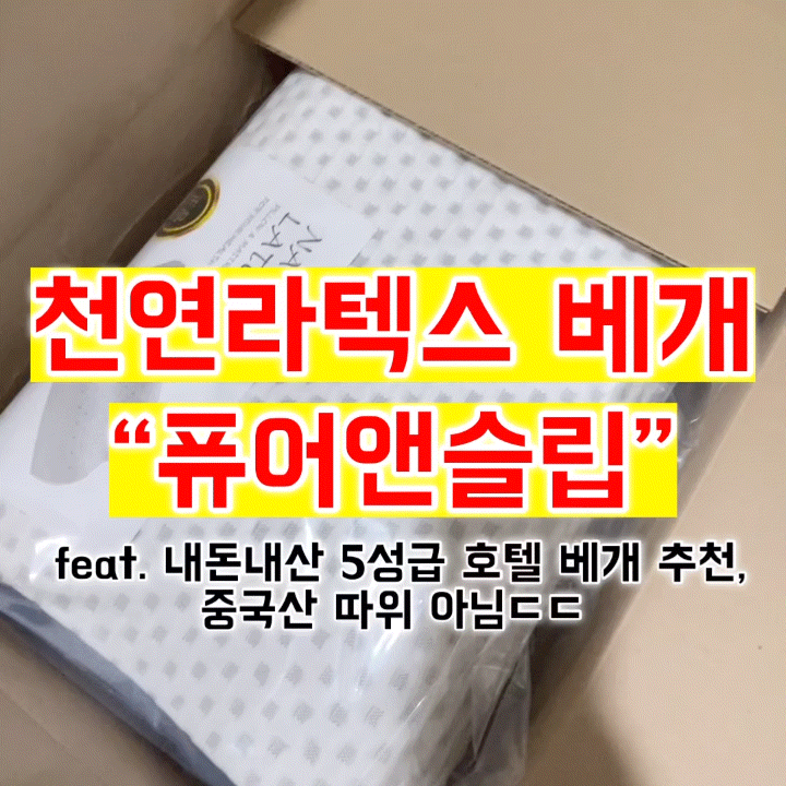 천연라텍스 베개 “퓨어앤슬립” feat. 내돈내산 추천, 중국산 사절, 5성급 호텔에서 찾음