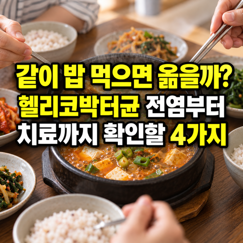 “같이 밥 먹으면 옮을까?” 헬리코박터균 전염부터 치료까지 꼭 알아둘 4가지
