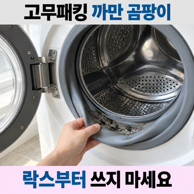 세탁기 고무패킹 곰팡이 제거 락스 쓰기 전에 이것부터 보세요