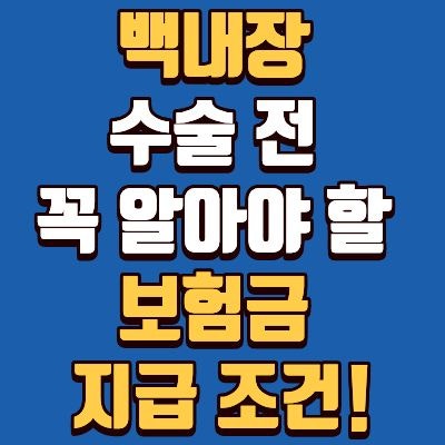 백내장 수술 비용 : 실비보험 청구 조건 및 대학병원 차이, 단초점, 다초점, 부담금 총정리.