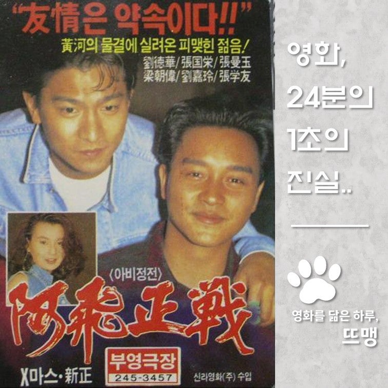 아비정전 - Days of Being Wild, 阿飛正傳, 1990 / 영원히 잊지 못할 1분의 기억과 방황하는 청춘들의....