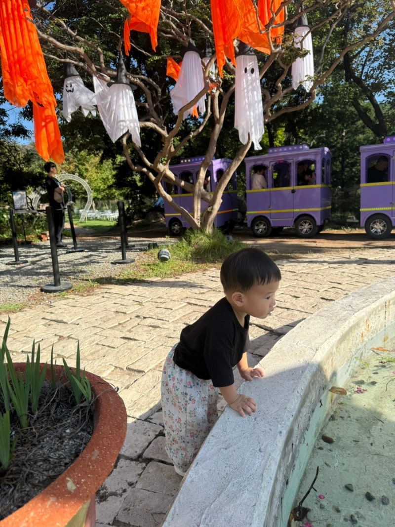 Busan Kid-Friendly Spot: Gijang Bomonde Halloween Concept Cafe with Mini Train