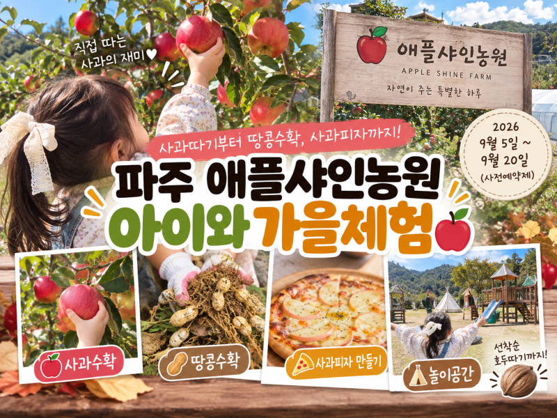 「파주 아이와 가볼만한곳 애플샤인농원｜사과따기·땅콩수확·사과피자까지」
