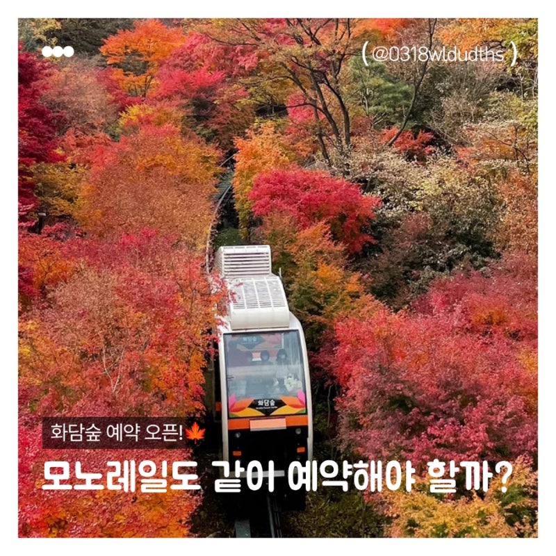 화담숲 예약 방법 총정리｜입장권·모노레일 예약부터 취소까지