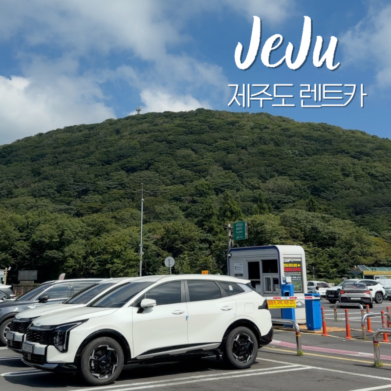 제주도 렌트카, 한라산 등산 여행에 필요할까? 자차보험 비교까지
