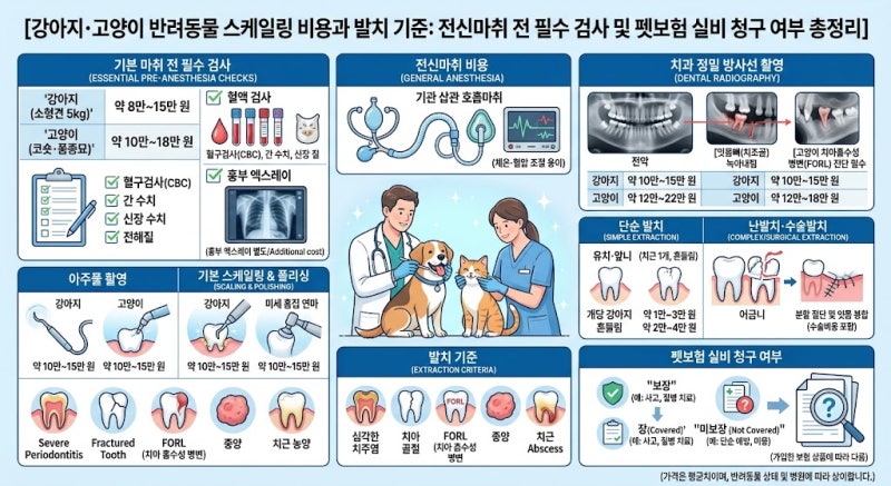 강아지·고양이 반려동물 스케일링 비용과 발치 기준: 전신마취 전 필수 검사 및 펫보험 실비....