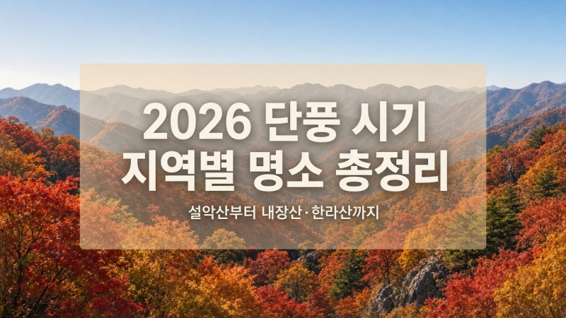 2026 단풍 시기와 지역별 명소 총정리｜설악산부터 내장산·한라산까지